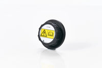 333/D0031 - JCB Cap